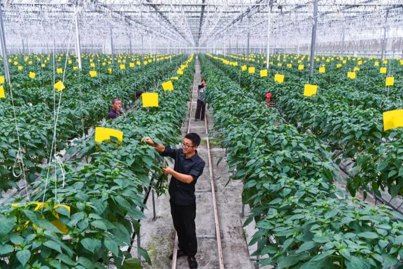 海安优选商城：品质生活的新风向标